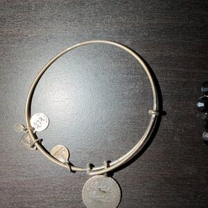 Alex and ani silver Charm Bangle Bracelet